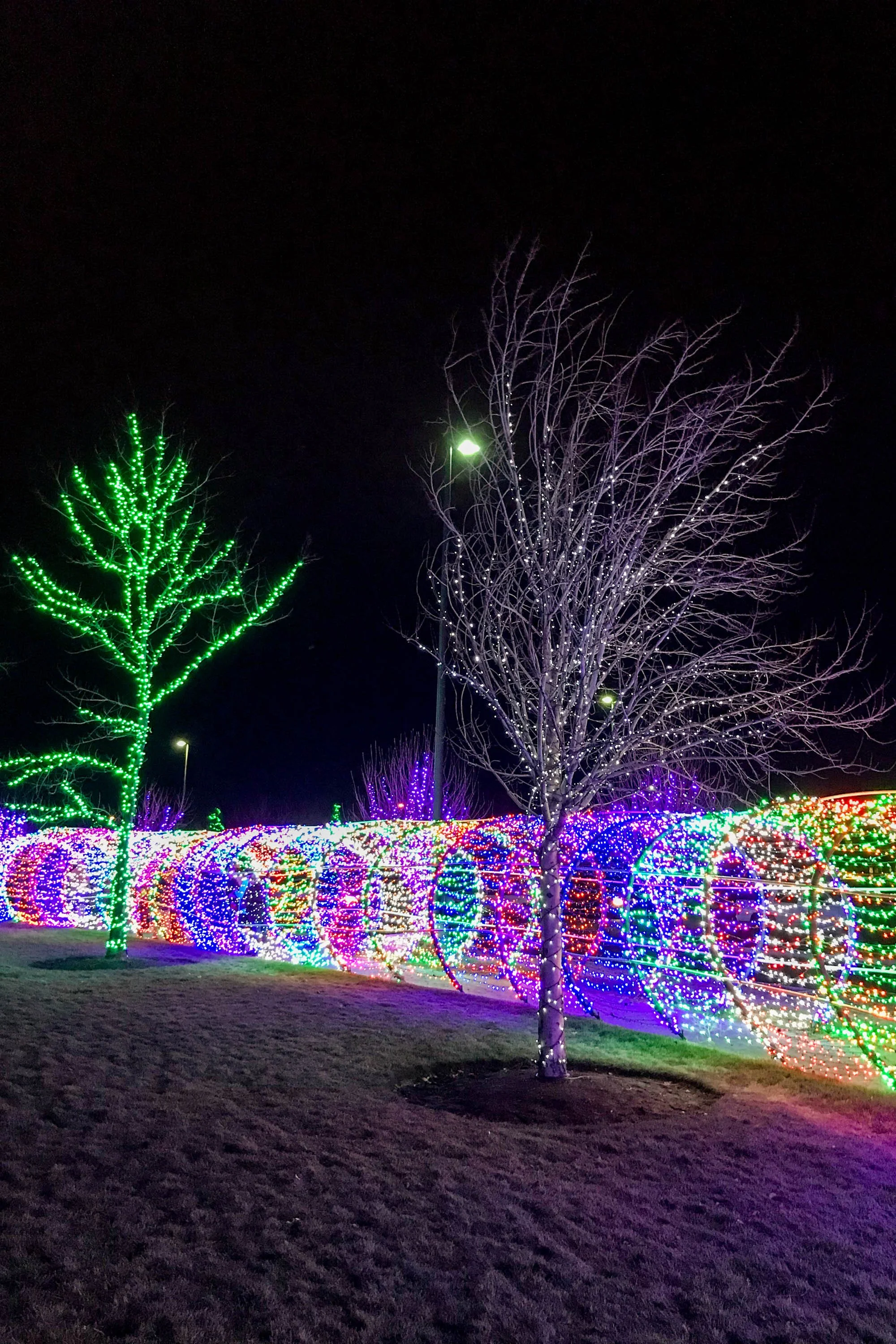 Holiday Events and Things to Do in Boise Idaho (Updated 2023)